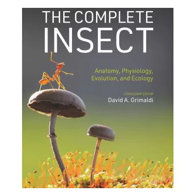 Complete Insect