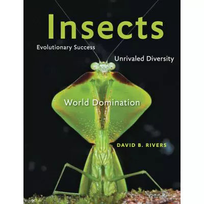 Insects